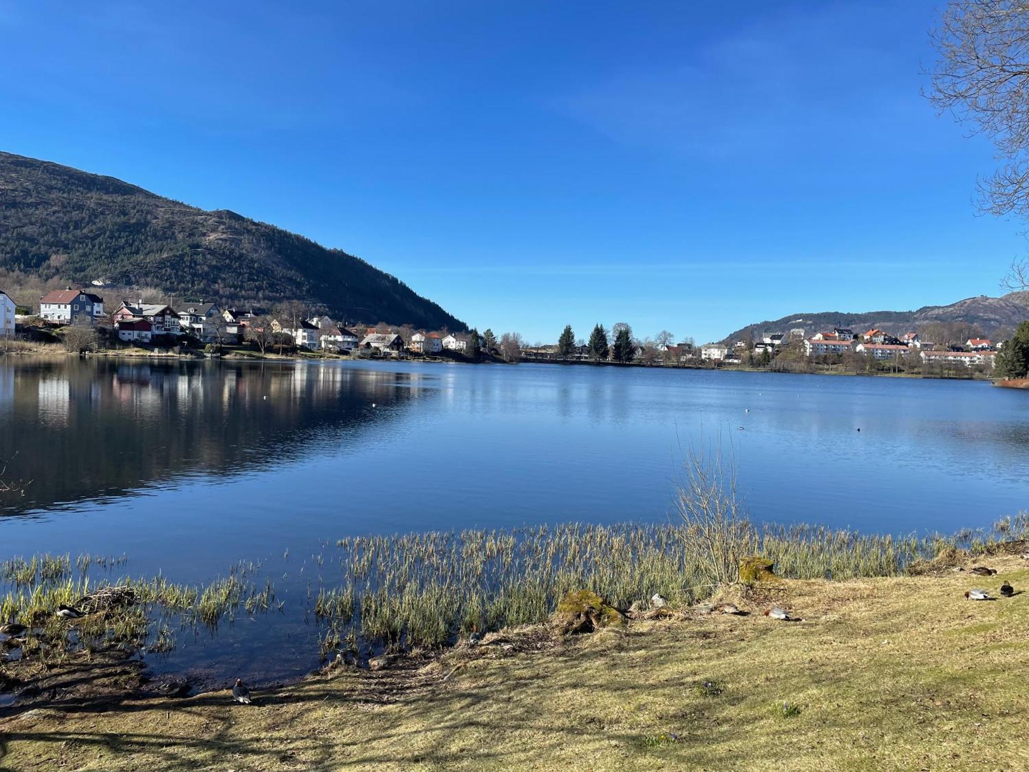 3 Sleeping Rooms For 82M2 Which Direct Traffic To Airport And City Center Bergen Exteriör bild