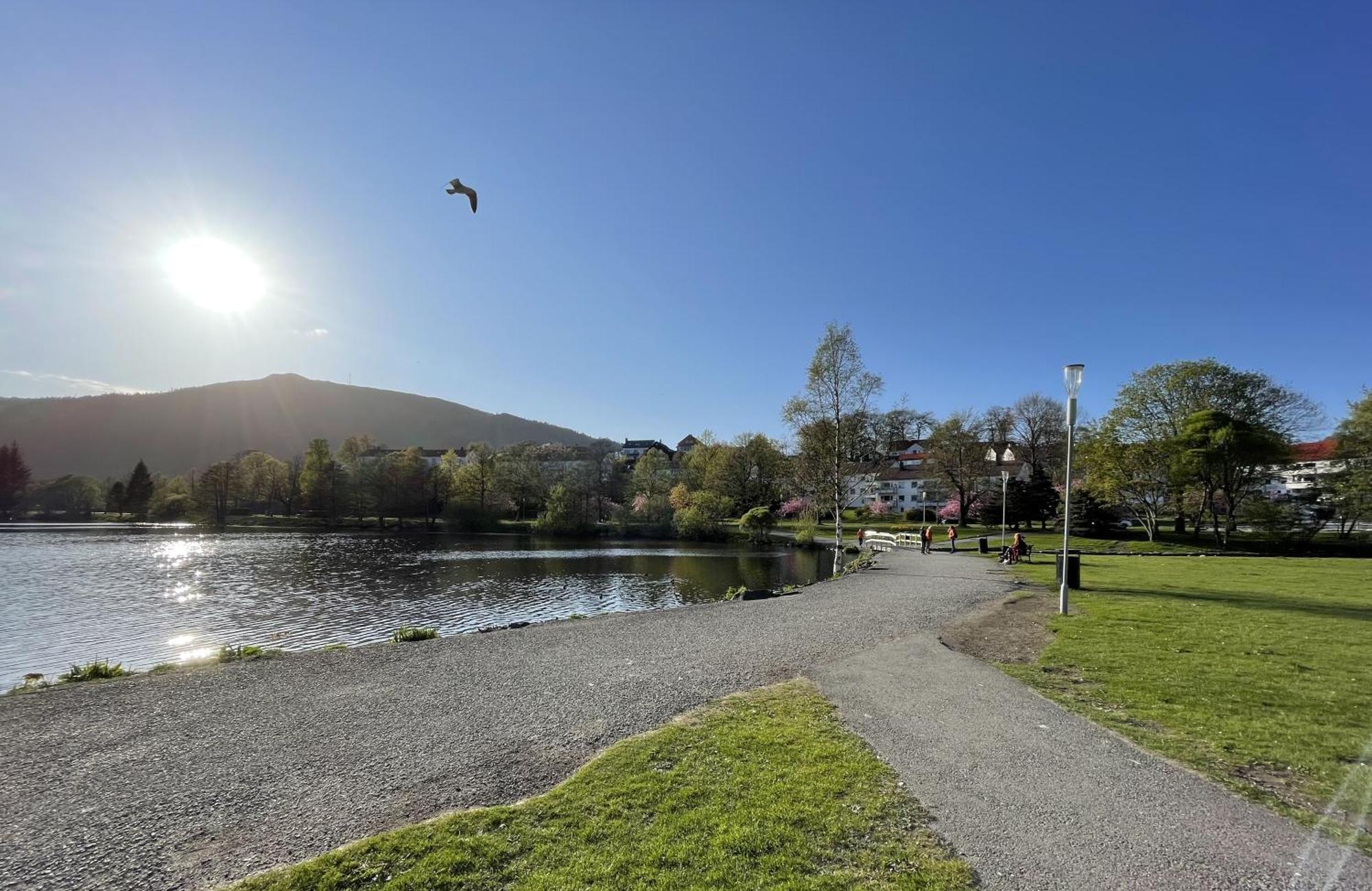 3 Sleeping Rooms For 82M2 Which Direct Traffic To Airport And City Center Bergen Exteriör bild