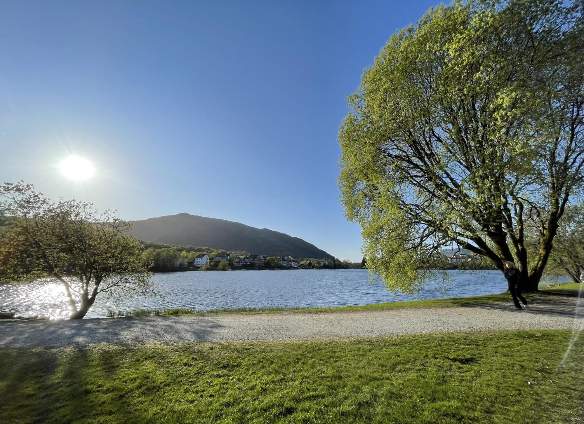 3 Sleeping Rooms For 82M2 Which Direct Traffic To Airport And City Center Bergen Exteriör bild